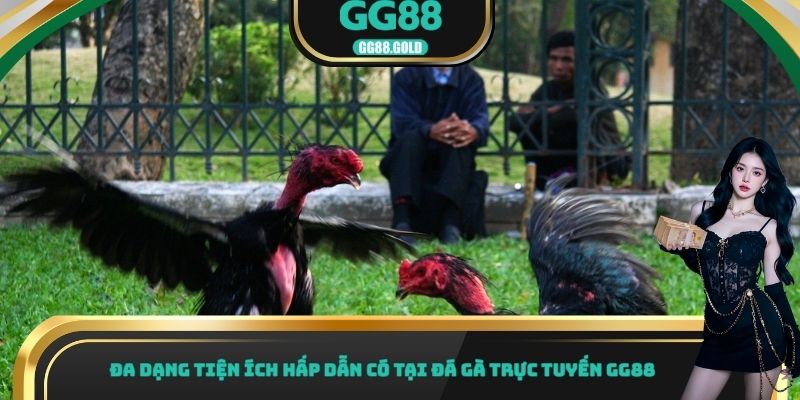 Đa dạng tiện ích hấp dẫn có tại đá gà trực tuyến GG88
