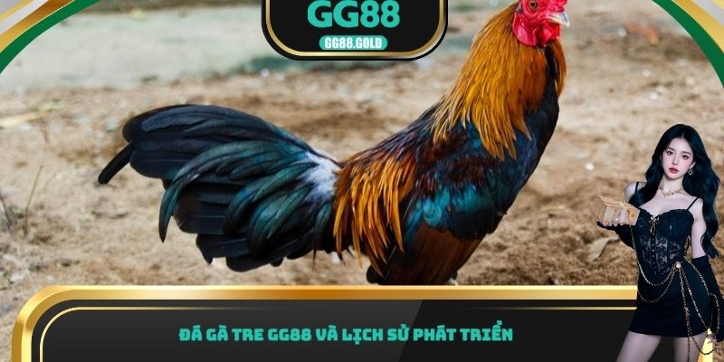 Đá gà tre GG88 và lịch sử phát triển