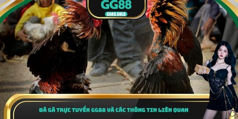 Đá gà trực tuyến GG88 và các thông tin liên quan