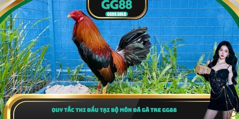 Quy tắc thi đấu tại bộ môn đá gà tre GG88